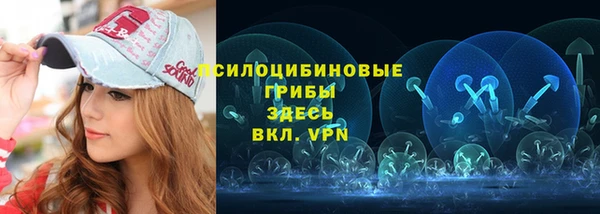 прущая мука Корсаков
