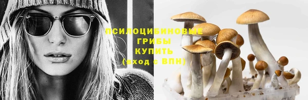 гашик Красноперекопск