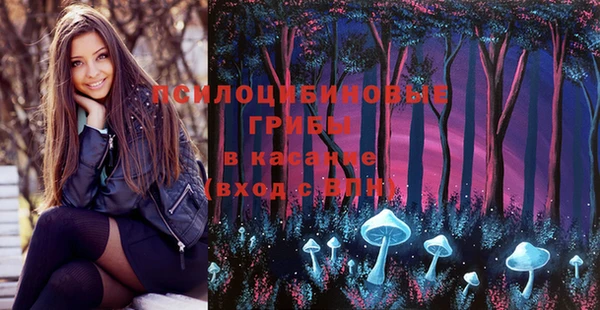 гашик Красноперекопск