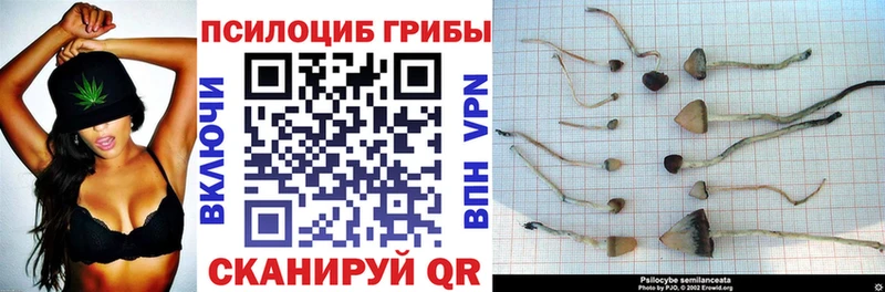Галлюциногенные грибы мухоморы  Сольцы 